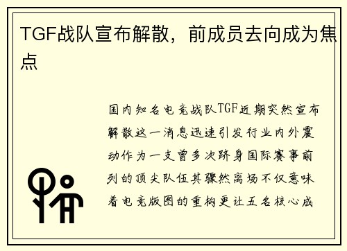 TGF战队宣布解散，前成员去向成为焦点