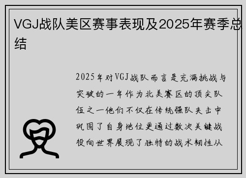 VGJ战队美区赛事表现及2025年赛季总结